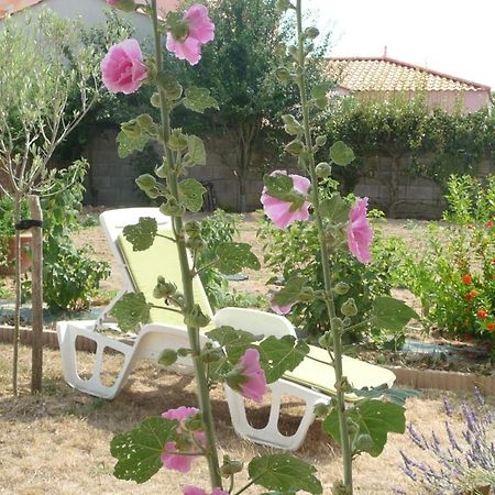 Chambre D'Hote Fleur De Potager Les Sables-dʼOlonne Eksteriør billede