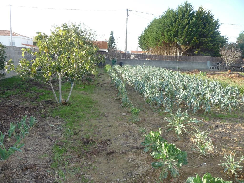 Chambre D'Hote Fleur De Potager Les Sables-dʼOlonne Eksteriør billede