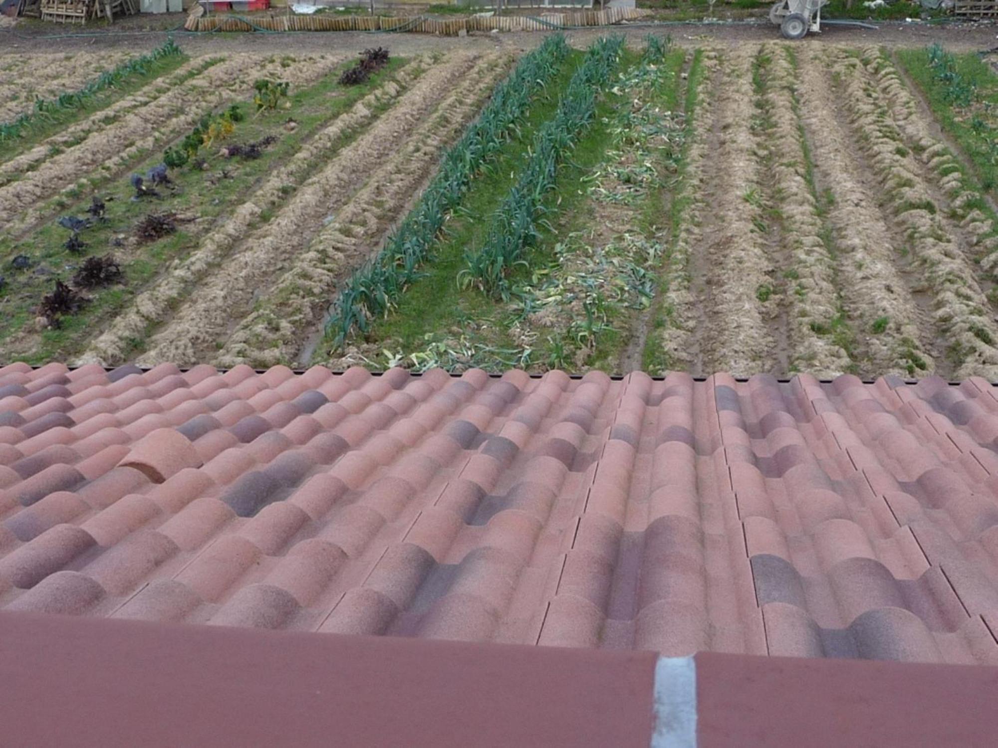 Chambre D'Hote Fleur De Potager Les Sables-dʼOlonne Eksteriør billede